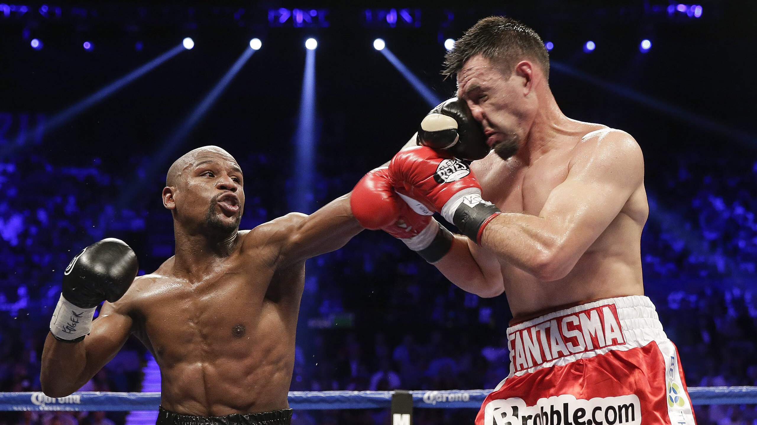 “冰雪奇缘：北极圈极寒赛段的激烈战斗”，冰雪奇缘和北极狐